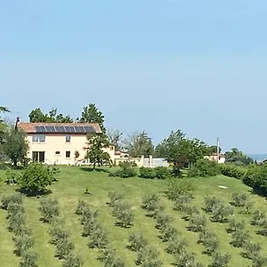 Rio Sabbioso Dozza
